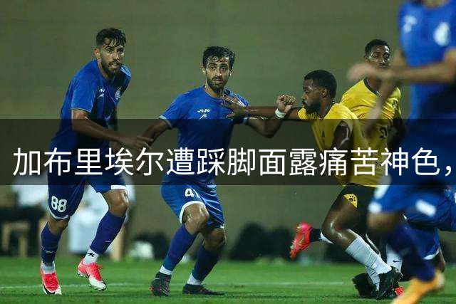 加布里埃尔遭踩脚面露痛苦神色，比赛短暂中断