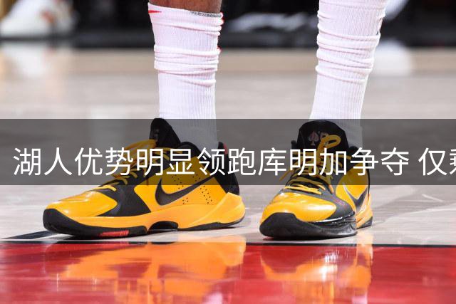 湖人优势明显领跑库明加争夺 仅剩森林狼竞争
